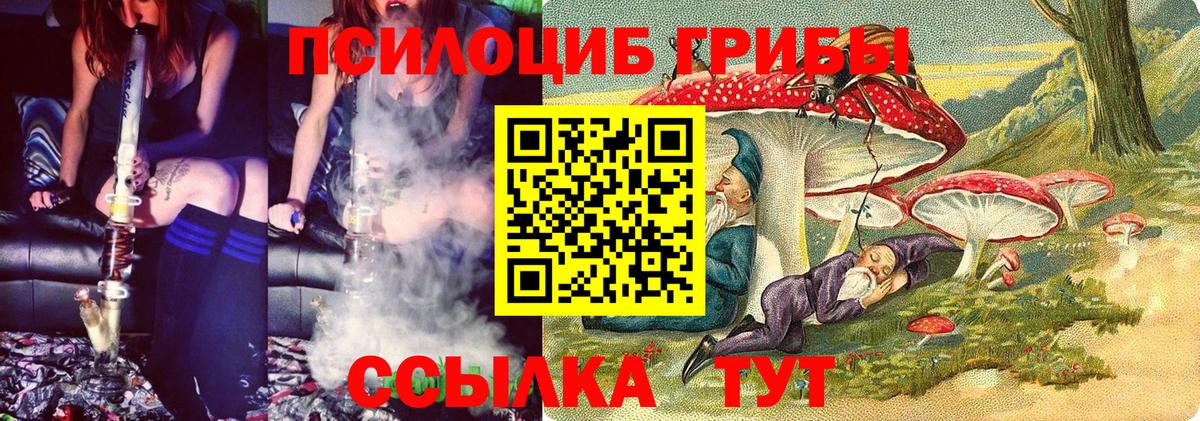 Псилоцибиновые грибы прущие грибы  Галлюциногенные грибы прущие грибы  Вход с VPN  Шелехов 