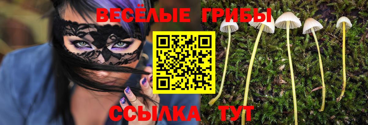 Галлюциногенные грибы Psilocybe Шелехов
